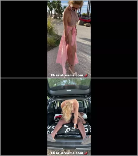 Elisa dreams - Sex Challenge 2020 - Naughty Story : Flashing in Public and Interracial Sex 28.01.2021 [FullHD 1080p] (Elisa-dreams)