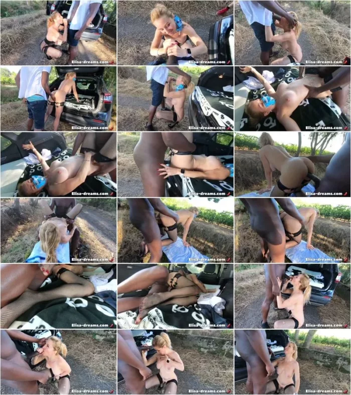 Elisa dreams - Sex Challenge 2020 - Fucked and sodomized by a very well endowed Black 24.04.2021 [FullHD 1080p] (Elisa-dreams)
