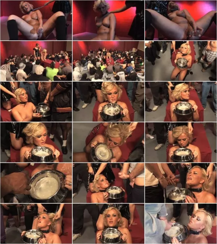 Sasha Knox, Beverly Hills - American Gokkun 11 [SD 352p] (JM Productions)
