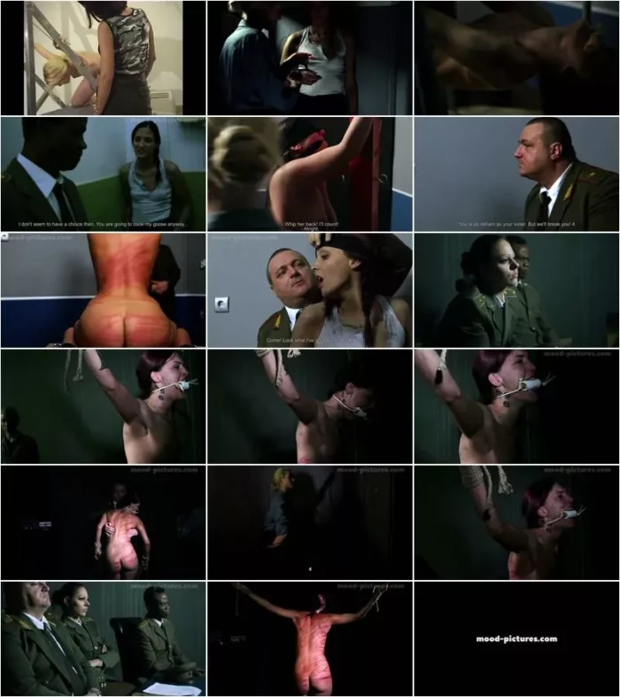 Elite Pain - Martial Law 3 [HD 720p] (BDSM)