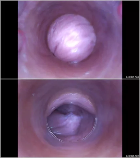 Victoria Daniels, Vanda - 2016-04-23 - RAW endoscopic video (BONUS) [HD 720p] (Pj Girls)