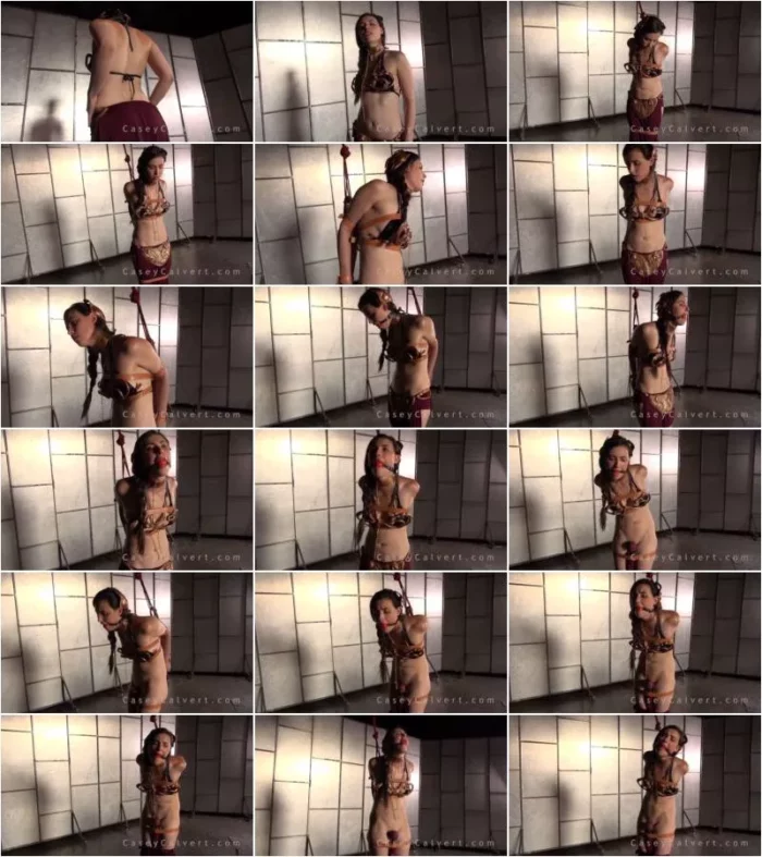 Casey Calvert - slave leia strappado [FullHD 1080p] (Dildo)