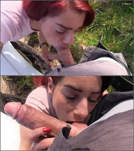 unfassbar-ich - Blowjob am Strassenrand fur die Mitfahrgelegenheit [FullHD 1080p] (MDH)