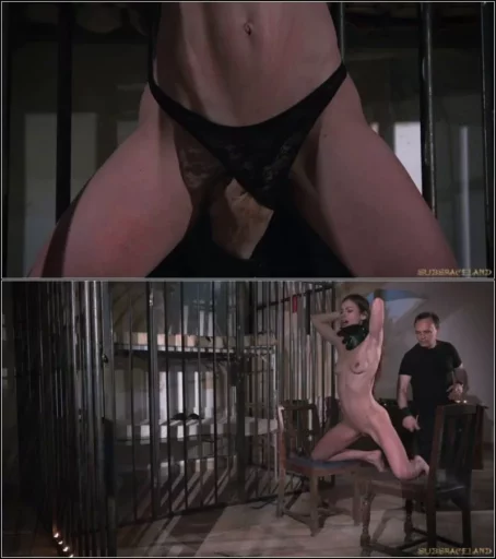 Arwen Gold - Slave in a Cage 29 Jul 2016 [FullHD 1080p] (BDSM)