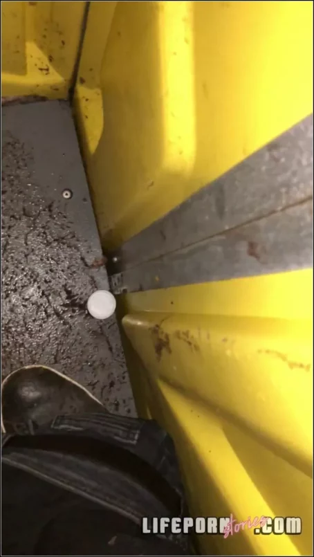 Evelina Dellai - Story 4 Party Fuck In Porta Potty [SD 1920p] (Life Porn Stories)