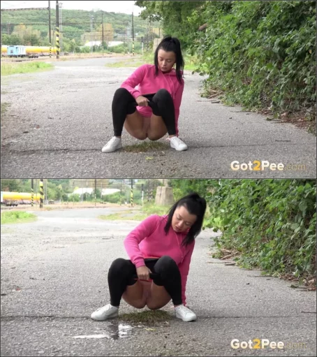 Dafne - Cutie Squatting to Pee Dec [FullHD 1080p] (Got2Pee)