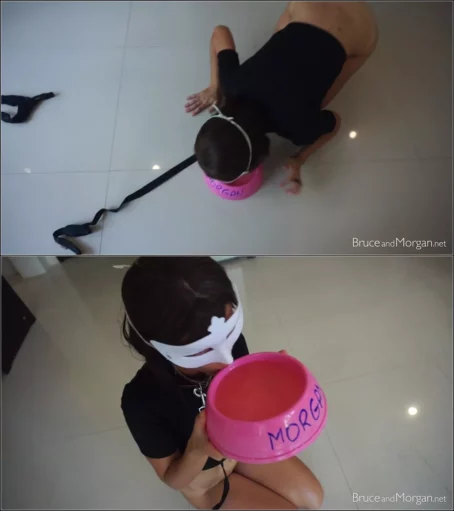 BruceAndMorgan - Dog Leash and Bowl - 02.02.2018 [FullHD 1080p] (MDH)
