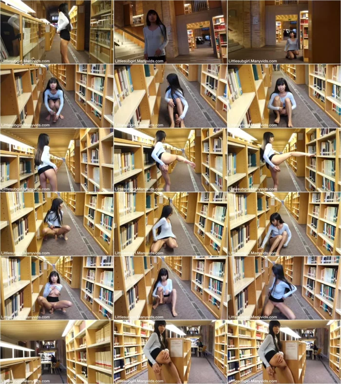 Littlesubgirl - Busy Public Library Fuck, Anal, & Squirt [FullHD 1080p] (ManyVids)