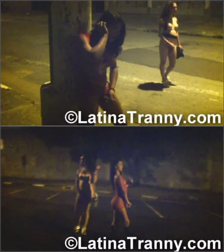 Nikki Montero - Nikki Public Street Masturbation 3 [HD 720p] (LatinaTranny)