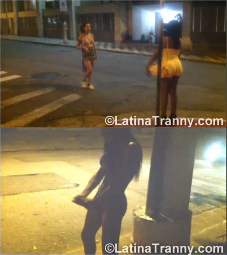 Nikki Montero - Nikki Public Street Masturbation 5 [HD 720p] (LatinaTranny)