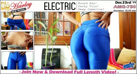 Harley - Electric - AMG-730 (23.12.2019) [FullHD 1080p] (ArgentinaMegusta)