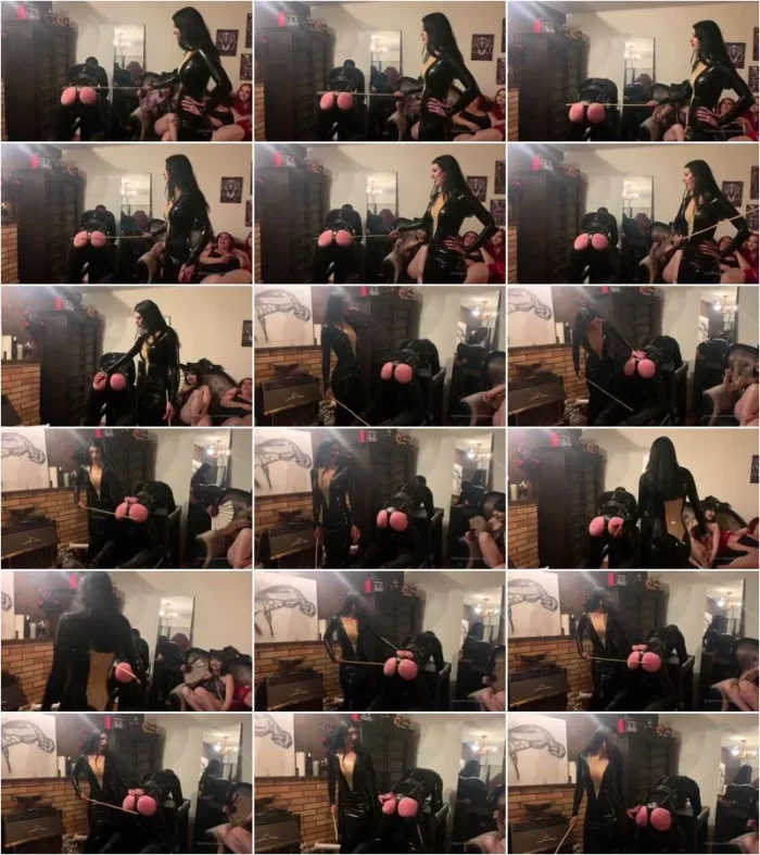 Mistress Damazonia - Megapack 79 Videos [ ] (FemDom)