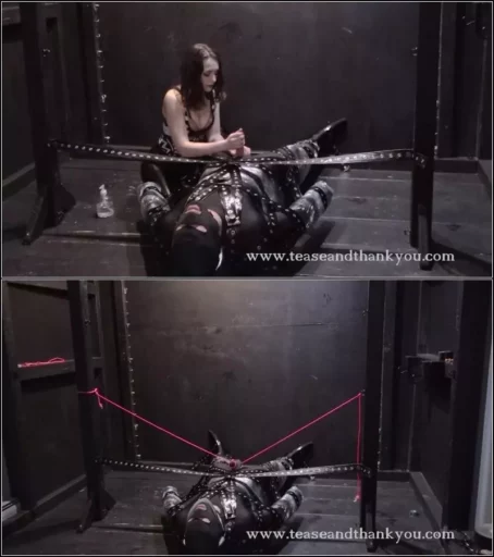 Lucid Lavender - Newbie Denied And Dicktied In Isolation (26.06.2020) [FullHD 1080p] (TeaseAndThankYou)