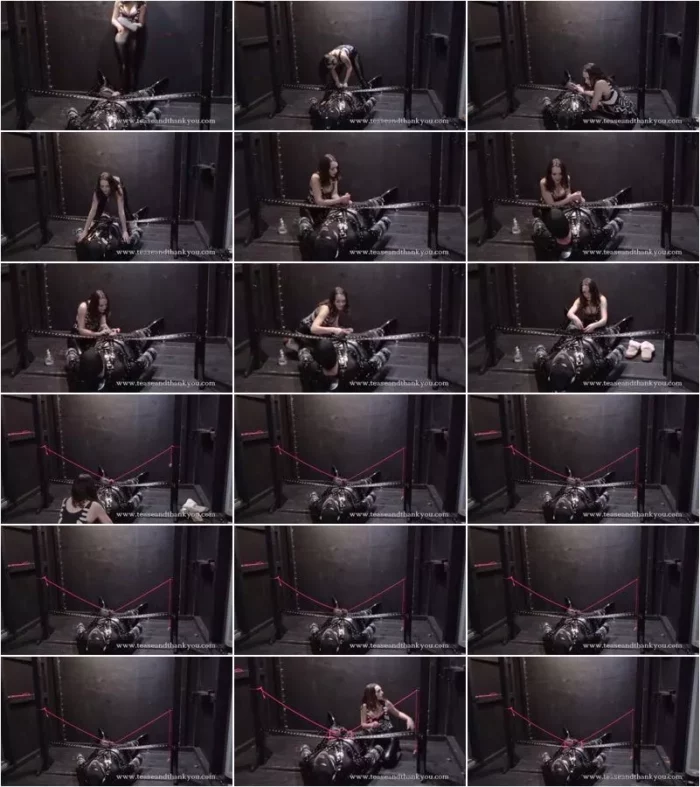 Lucid Lavender - Newbie Denied And Dicktied In Isolation (26.06.2020)   [FullHD 1080p] (TeaseAndThankYou)