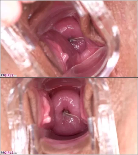 Trisha - Inside Trisha (30.10.2020) [FullHD 1080p] (Pj Girls)