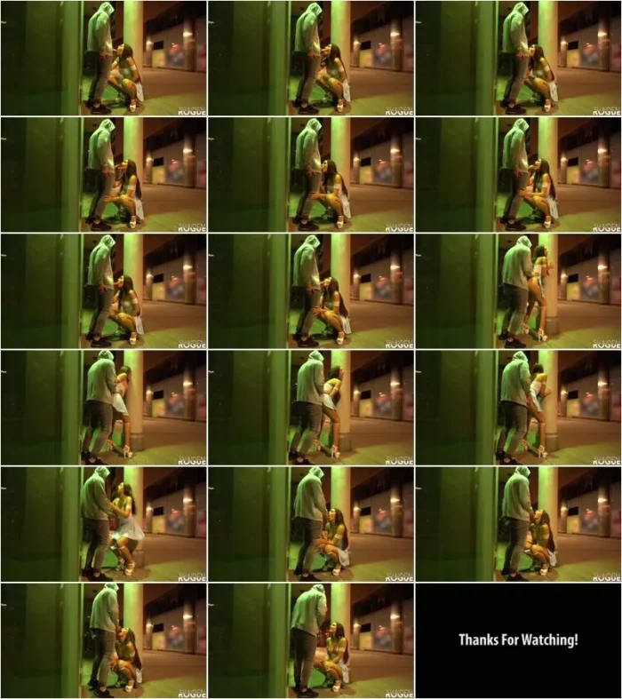 Shaiden Rogue - Party Chick Cheats on her Boyfriend - Risky Doggy Fuck in Public [FullHD 1080p] (Teen)
