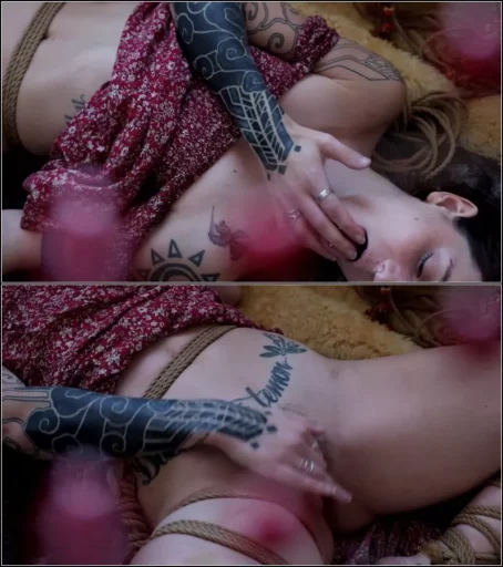 HannibalDamage - Winter Fruit [HD 720p] (Trans)
