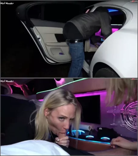 Wet-Wonder - Scheidung eskaliert zur Fickparty [FullHD 1080p] (MDH)