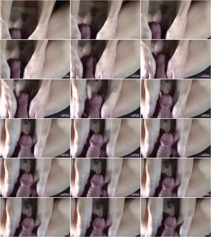 MellyBunnyLuder - MEGA NAHAUFNAHME - FICK MICH UND SIEH MEIN HUNGRIGES FOETZCHEN DEINEN SCHWANZ UMKLAMMERTEN - CLOSEUP [FullHD 1080p] (MDH)