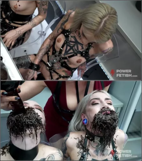 Eden Ivy, Sasha Amine, Brittany Bardot - Eden Ivy and Sasha Amine in Harness [FullHD 1080p] (Powerfetish)