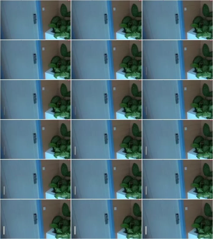 schnuggie91 - Mieses Spiel im Hotel - Sie hat mir vertraut [FullHD 1080p] (MDH)