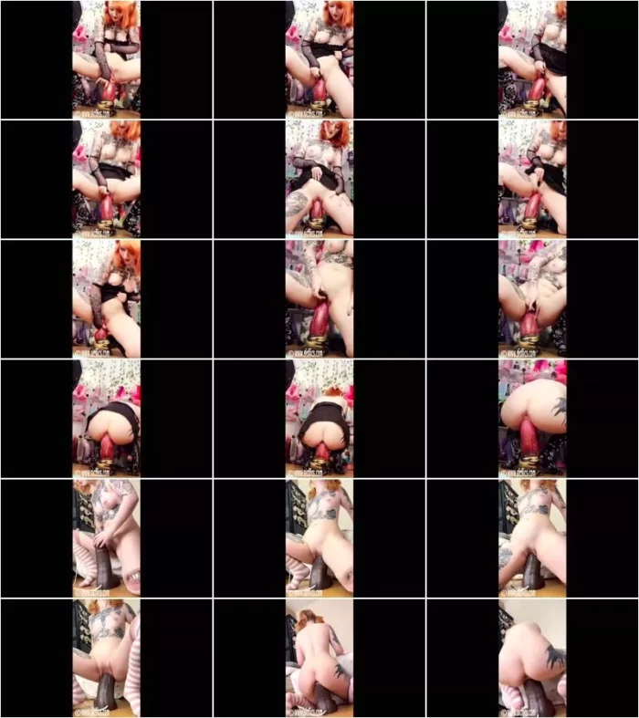 StarryFawn - StarryFawn cunt ruination 13.12.2022 [FullHD 1080p] (Sicflics)