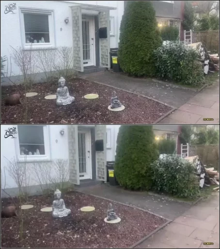 Cat-Coxx - Ehehure - Ehemann mit 25-Jahre j ngeren betrogen Timo ahnungslos ins Haus gelockt [FullHD 1080p] (MDH)
