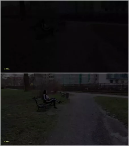 Leni-Luchs - Fremdfick in W rzburg - Dreiste Aktion [FullHD 1080p] (MDH)