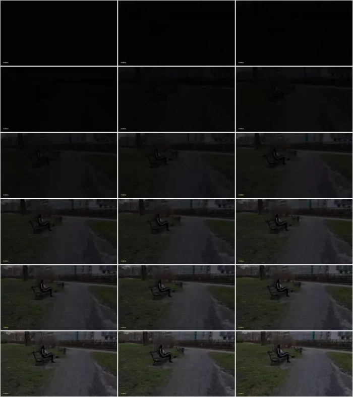 Leni-Luchs - Fremdfick in W rzburg - Dreiste Aktion [FullHD 1080p] (MDH)