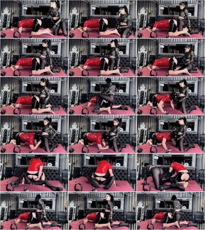 Lady-Meli - Ultra Devote Drecksau Bettelt um Arschfick - Kontrolle und Demutigung von der Unerbittlichen Herrin [FullHD 1080p] (MDH)