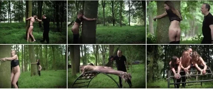 Screenshot 2 from Adelle Unicorn, Dominica Phoenix, Sarah Kay – Triple Punishment 05 Jul 2019 [FullHD 1080p] (BDSM)