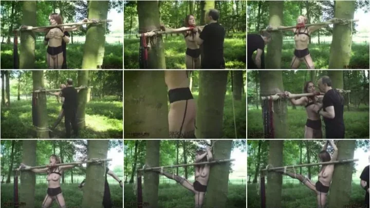 Screenshot 2 from Dominica Phoenix – Unspoken Safeword 19 Jul 2019 [FullHD 1080p] (BDSM)