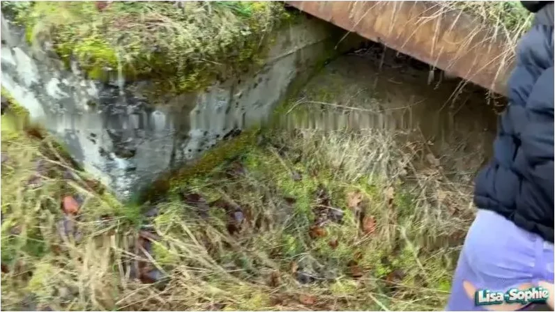 Play video: Lisa_Sophie – Aufgerissen und zerfickt – Ausflug endet im Fickdisaster [HD 720p] (MDH)