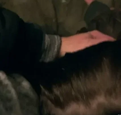 Teressa Bizzarre – Evil Dead [FullHD 1080p] (Horror Porn)