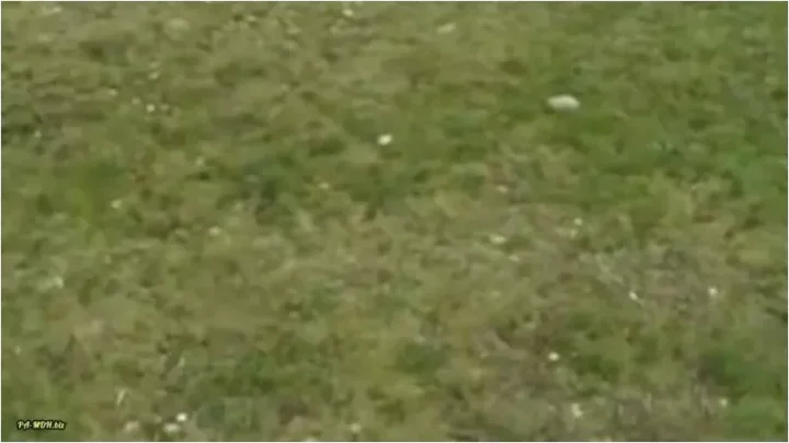 Screenshot 1 from MasterOfPorn – Blowjob vor dem stadion [HD 720p] (MDH)