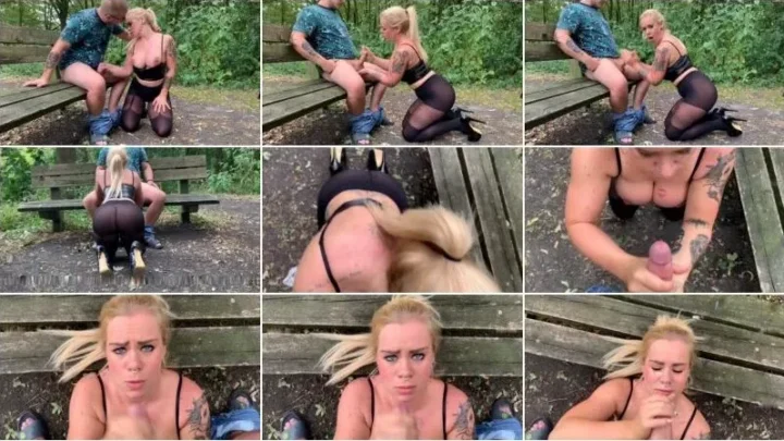 Screenshot 3 from SteffiBlond – Versetzung gefahrdet – Ich wichse den Hochschullehrer Public auf der Parkbank ab [FullHD 1080p] (MDH)