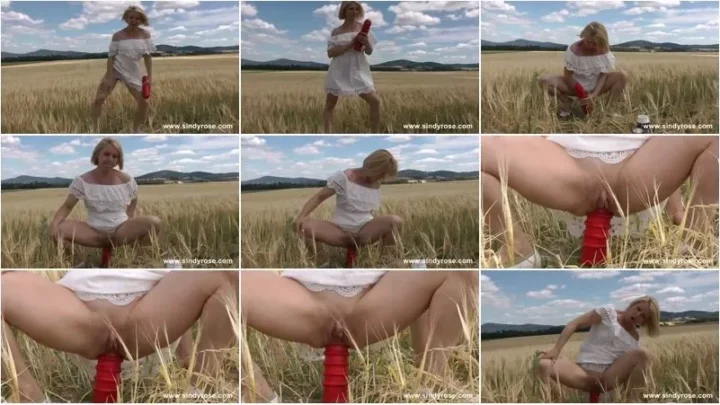 Screenshot 1 from Sindy Rose – Sindy Rose fucking her ass with red anal terrorist on the wheat field (19.06.2021) [FullHD 1080p] (Dildo)